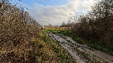 Трофи-лайф фото 4х4 покатушка День Рождения Трофи-лайф 1 коллона 25.10.2025 - (88).jpg