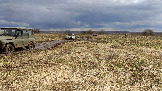 Трофи-лайф фото 4х4 покатушка Ступинский Крюк 18.04.2026 - 42.jpg