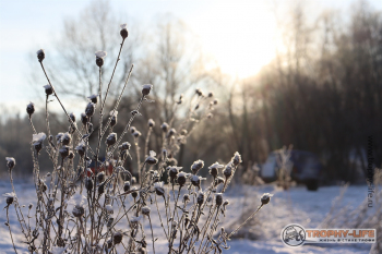 Фото Трофи-лайф 4х4 покатушка Южные Косогоры 12.12.20 - 163.JPG