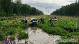 14нпон87.png