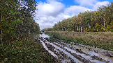 Трофи-лайф фото 4х4 покатушка Пещера Володары 03.10.2026 - 079.JPG