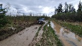 20250426_121350.jpg