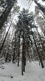 20231209_151056.jpg