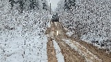 20251115_123130.jpg