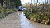 20231011_154734.jpg
