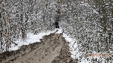 Фото Трофи-лайф 4х4 покатушка Новоистринские Просеки 28.10.23 - 126.jpg