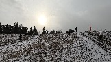 Трофи-лайф фото 4х4 покатушка Школа 4х4 16.02.2025 -  (183).jpg