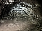 IMG_8482.JPEG