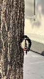 IMG_3799.JPG