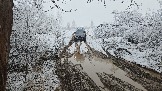 20251115_112607.jpg
