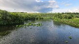 20250613_173956.jpg