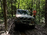 IMG_0974.JPG