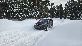 20260221_134041.jpg