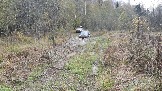 20231014_132339.jpg