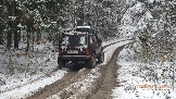 Фото Трофи-лайф 4х4 покатушка Новоистринские Просеки 28.10.23 - 329.jpg