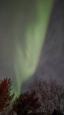 20251130_210534.jpg