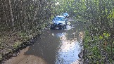 20250509_181251.jpg