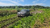 20260801_135337.jpg