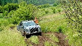 IMG_1188.jpg