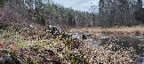 IMG_20231105_112350.jpg