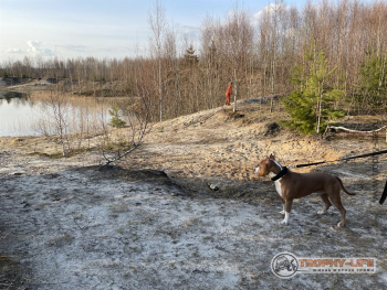 Фото Трофи-лайф 4х4 покатушка Кудыкина Гора 23.04.22 - 148.JPG