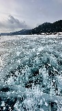 IMG_8506.jpg