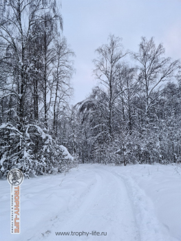 Фото Трофи-лайф 4х4 покатушка Мещерские Скитания 04.01.22 - 152.jpg