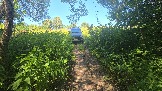 20260801_123649.jpg