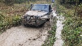 20231014_140344.jpg