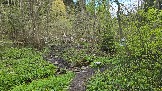 20250508_162204.jpg