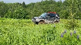 IMG_8773.JPG
