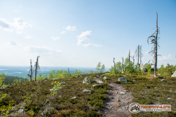 _DSC7398.jpg