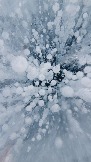 20240301_110858.jpg