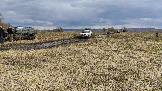 Трофи-лайф фото 4х4 покатушка Ступинский Крюк 18.04.2026 - 23.jpg