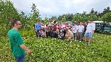 20250801_152233.jpg