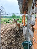IMG_20260613_135230_583.jpg
