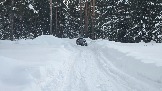 20260221_134217.jpg