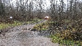 20231105_102538.jpg