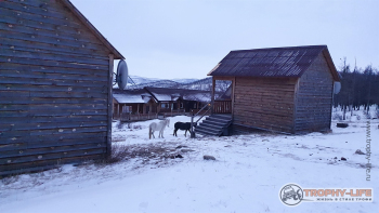 Фото Байкал Тажераны Трофи-лайф 4х4 экспедиция-путешествие Лёд Байкала 12.02.21 -1.jpg