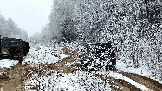 Трофи-лайф фото 4х4 покатушка Можайские Тропы 15.11.2025 - (18).jpg