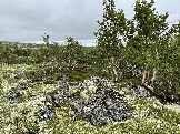 IMG_9344.jpeg