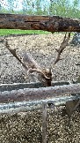 IMG_2928.JPG