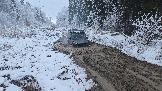 20251115_122451.jpg