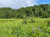 IMG_8777.JPG