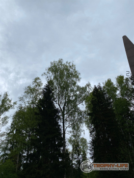 Фото Трофи-лайф 4х4 покатушка Шелковый Путь 28.05.22 - 216.jpeg