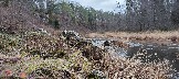 IMG_20231105_112352.jpg