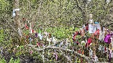 20250508_162323.jpg