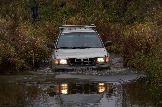 IMG_8791.jpeg