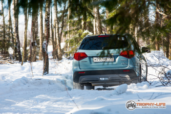 Suzuki Vitara by Кирилл Дубовской (155 из 402).jpg