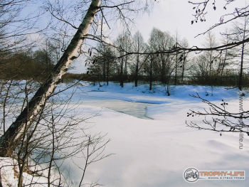 Фото Трофи-лайф 4х4 покатушка Мещерские Скитания 30.01.21 -49.jpg